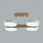 Потолочный светильник Lumion Ledio 359489 от ImperiumLoft