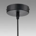 Подвесной светильник Lumion Moderni 8043/1