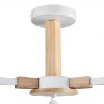 Потолочная люстра Lumion Moderni 8095/3C