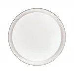 Потолочный светильник Sonex Bionic 3030/DL 