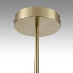 Подвесной светильник Lumion Moderni 8109/5C
