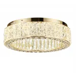 Потолочная люстра Odeon Light HALL ODL24 493 5071/60CL LED 60W 3700K VERSION