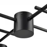 Потолочная люстра Lumion Comfi 8186/8C