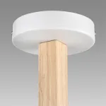 Потолочная люстра Lumion Moderni 8095/6C