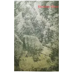 Твёрдая стеновая панель KBOOS Bamboo Moon 1220*3050*3мм 5610-88