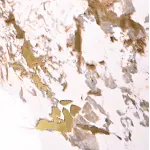 Стеновая панель CROWN CR13634-88 под мрамор — 280*122*0,5 см