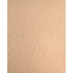 Стеновая панель PREMIUM WR-LX05 под фактурный металл — 280*122*5 мм