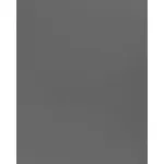 Стеновая панель PREMIUM WR-MFF02 под фактурный металл — 280*122*5 мм