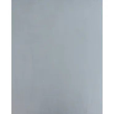Стеновая панель PREMIUM WR-MGF01 Матовый светлый алюминий - 2800*1220*5 мм