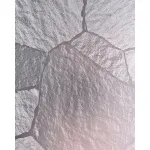 Стеновая панель PREMIUM WR-SSP01 под фактурный металл — 280*122*5 мм