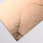 Стеновая панель PREMIUM WR-SSP03 под фактурный металл — 280*122*5 мм