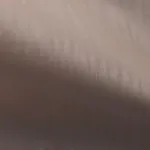 Стеновая панель PREMIUM MW310 под дерево — 280*122*5 мм