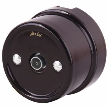 ТВ-розетка без рамки Werkel Retro WL18-02-05 brown