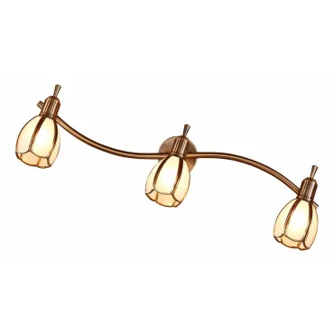 Спот Citilux Альтен-2 CL522631