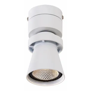 Спот Citilux Дубль-1 CL556510