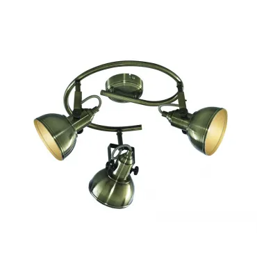 Спот Arte Lamp Martin A5215PL-3AB