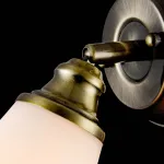 Спот Freya Jasinta FR2272-WL-01-BS от ImperiumLoft