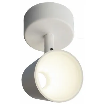 Спот Elektrostandard DLR025 a039691