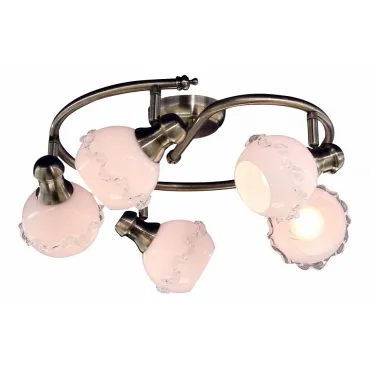 Спот Citilux Кампана CL540551