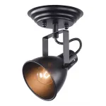 Спот Freya Ibbi FR4276-CW-01-B от ImperiumLoft