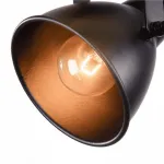 Спот Freya Ibbi FR4276-CW-01-B от ImperiumLoft