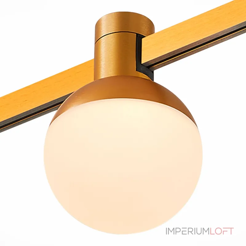 Магнитный трековый светильник ST-Luce FARM ST815.246.05 от ImperiumLoft