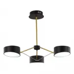 Люстра на штанге EVOLUCE Valle SLE6005-402-03