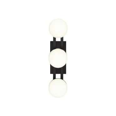 Светильник настенный ST-Luce MONRO SL6610.401.03