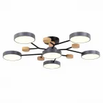 Потолочная люстра EVOLUCE Faema SLE6006-702-06