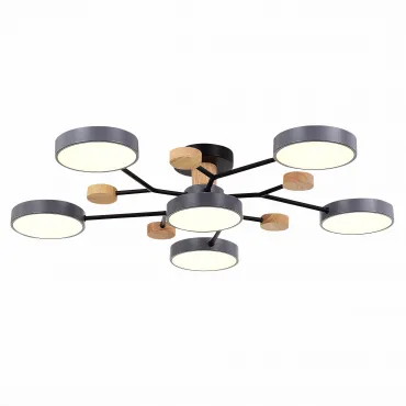 Потолочная люстра EVOLUCE Faema SLE6006-702-06 Потолочная люстра EVOLUCE Faema SLE6006-702-06