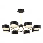 Люстра на штанге EVOLUCE Valle SLE6005-402-08