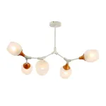 Люстра на штанге EVOLUCE Ciotolla SLE113502-05 