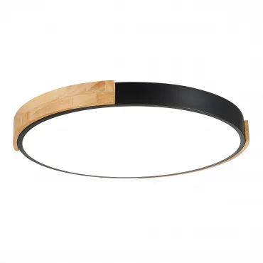 Светильник светодиодный EVOLUCE DELIA SLE201342-01 Светильник светодиодный EVOLUCE DELIA SLE201342-01