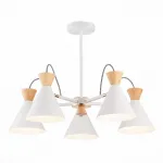 Люстра на штанге EVOLUCE Modica SLE125102-05 