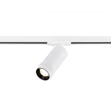 Светильник трековый ST-Luce ST385.546.20