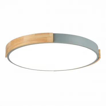 Светильник светодиодный EVOLUCE DELIA SLE201372-01 Светильник светодиодный EVOLUCE DELIA SLE201372-01