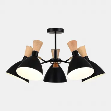 Светильник потолочный EVOLUCE VISTA SLE1256-402-05 Светильник потолочный EVOLUCE VISTA SLE1256-402-05