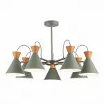 Люстра на штанге EVOLUCE Modica SLE125112-07 