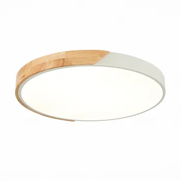 Потолочный светильник EVOLUCE Festa SLE200952-01 Потолочный светильник EVOLUCE Festa SLE200952-01