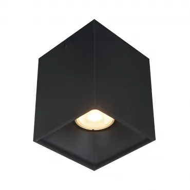 Светильник потолочный ST-Luce ST168.402.01