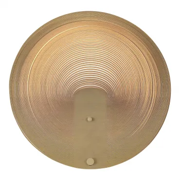 Светильник настенный светодиодный ST-Luce FOSSIL SL6900.501.16