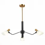 Люстра на штанге EVOLUCE Lita SLE205403-03