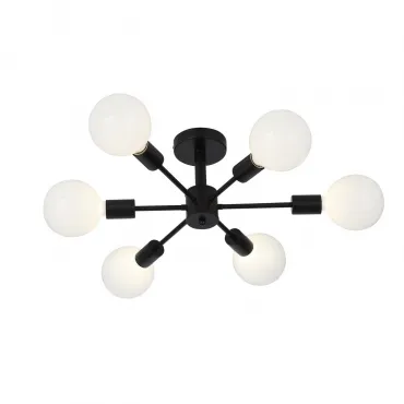 Потолочная люстра EVOLUCE Ano SL419.402.06 