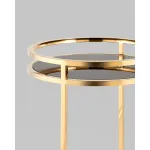 Журнальный столик Гестия 41*60см стекло черное сталь золото Stool Group УТ000039402 от ImperiumLoft