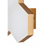 Накладной светильник Lightstar Favo LED 750633 Цвет арматуры золото от ImperiumLoft