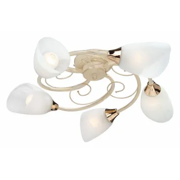 Потолочная люстра Vitaluce V3663 V3663/5PL 