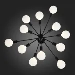 Потолочная люстра EVOLUCE Ano SL419.402.12 
