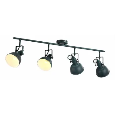 Спот Arte Lamp Martin A5215PL-4BG Цвет арматуры медь Цвет плафонов медь