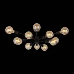 Потолочная люстра EVOLUCE Ano SL419.402.12 