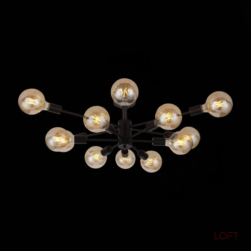 Потолочная люстра EVOLUCE Ano SL419.402.12 